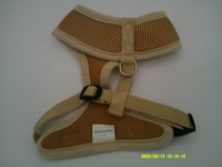 Image 4 of Mesh Harness