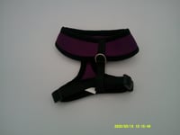 Image 2 of Mesh Harness