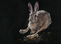 Image 1 of Kay Johns "Flying Start"