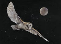 Image 1 of Kay Johns "Hunter's Moon"