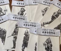 Image 1 of Knight Bandit Print Pack 