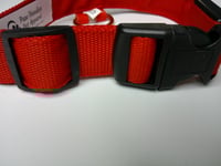 Image 2 of Light Up Collars