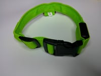 Image 3 of Light Up Collars