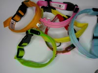 Image 1 of Light Up Collars