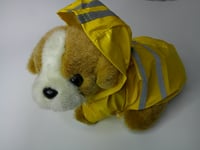 Image 1 of Rain Coats