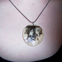 Image 2 of money shot