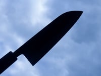 Image 3 of 180MM SANTOKU #299