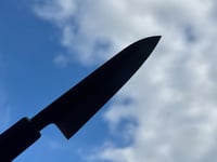 Image 3 of 123MM PETIT #302