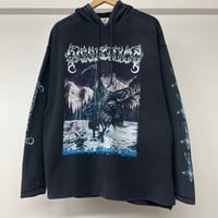 Image 1 of Dissection 'Storm Of The Light's Bane' Hoodie 90s XL