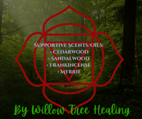 Image 3 of Root Chakra Guided Healing 