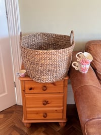 Image 4 of striped stargazer lily mug