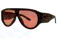 Image 1 of EMBER 9536