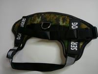 Image 1 of No Pull Harness