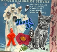 Kitty Thank You