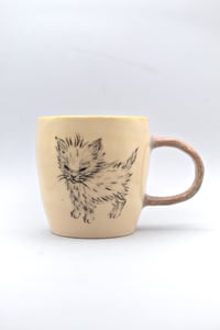 Image 1 of This kitty woke up and craves chaos 😎