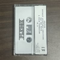 Image 2 of PLEDGE - "BURNING BRIDGES DEMO" CS