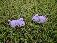 Image 4 of Mice