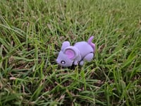 Image 5 of Mice