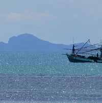 Image 2 of Paradis perdu