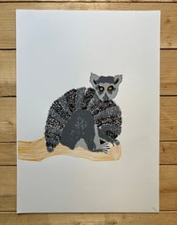 Image 1 of Ring-tailed Lemur print