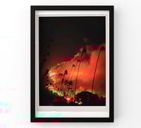 Image 1 of WIND & FIRE  (18x24in)