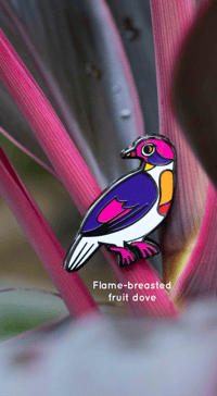 Flame-breasted fruit dove hard enamel pin