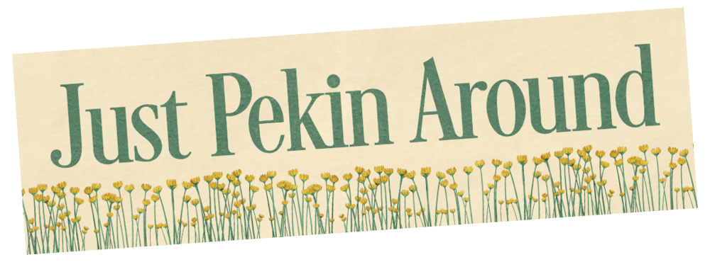 Image of Just Pekin Around Sticker - Pekin Illinois Hometown Pride Decal