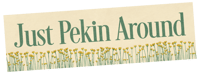 PRE-ORDER: Just Pekin Around 10x3 Vinyl Sticker
