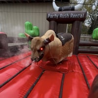 Mechanical Bull