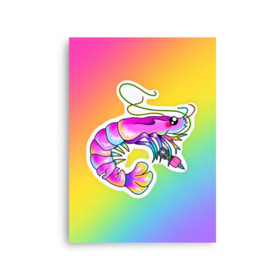 Image of Shrimpy 