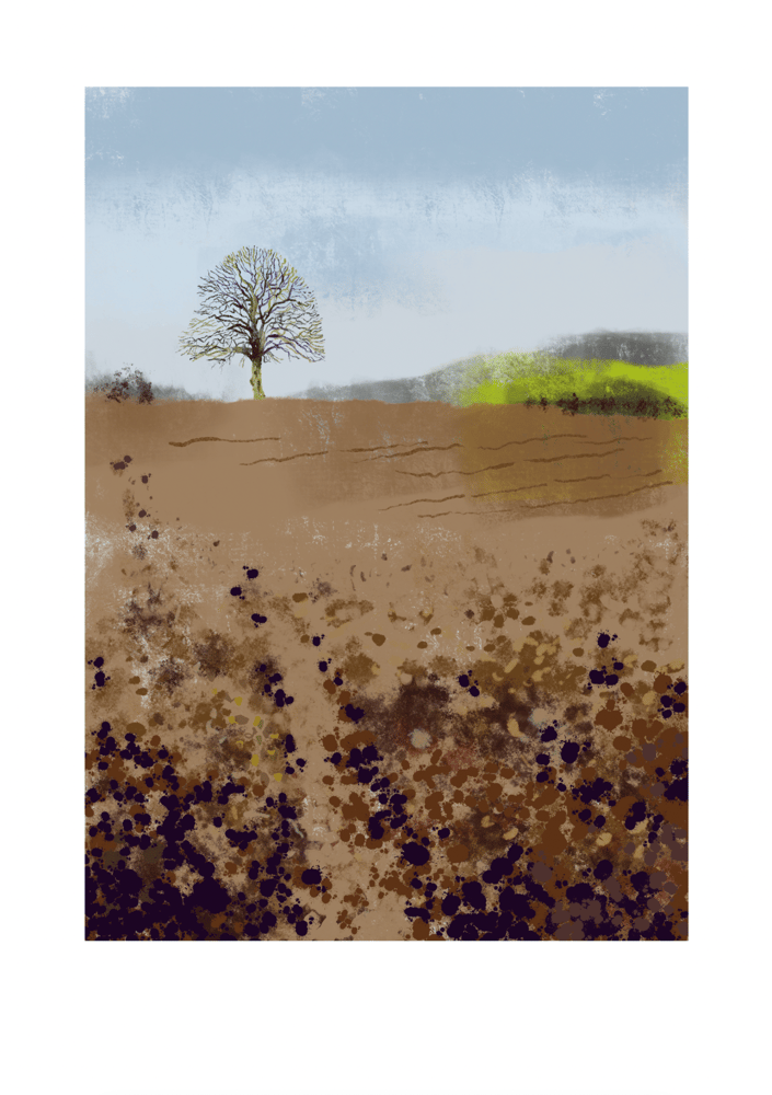 Image of Walking from Rode to Tellisford 2