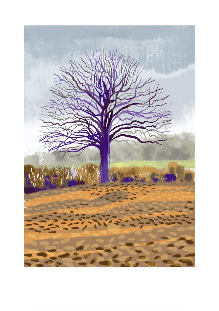 Image of Walking from Rode to Tellisford 3