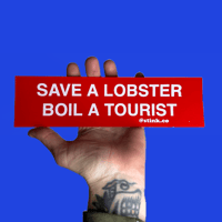 Image 1 of Save a Lobster bumper sticker