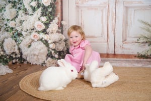 Image of Summer Studio 1