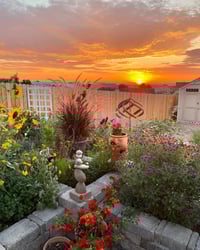 Image 3 of Cottage Garden Sunrise - 12” X 12” Canvas Print