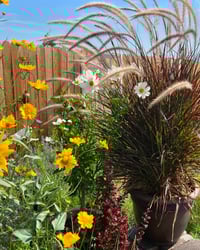 Image 3 of Happy Summertime Garden - 12” X 18” Canvas Print