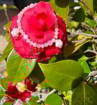 Image 1 of 444 Rose Palace Star bracelet 