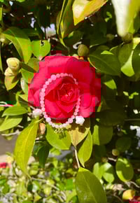 Image 5 of 444 Rose Palace Star bracelet 