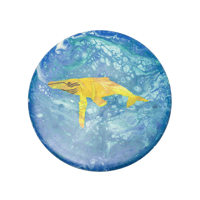 BFD #222 "humpback whale" Discraft Zone