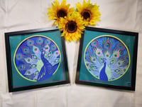 Peacock Shadow box