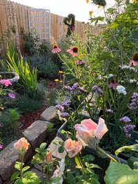 Image 3 of Summertime Cottage Garden - 8” X 12” Canvas Print