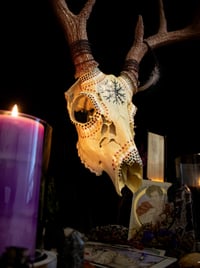 Image 2 of Hand Painted White-tailed Deer Skull. SHIPPING NOT AVAILABLE.  