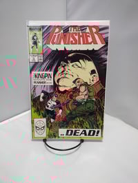 The Punisher #16