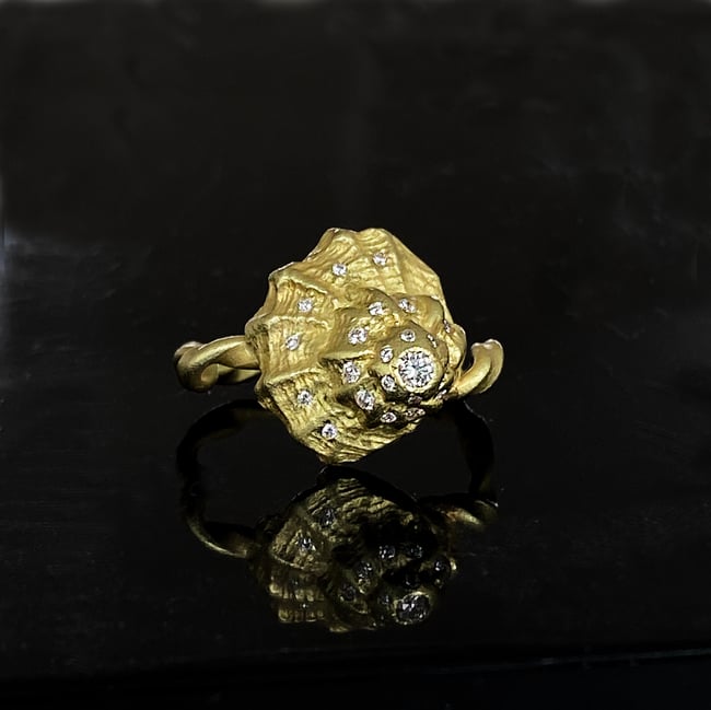 Conch Ring / 