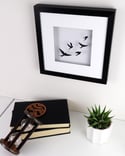 Flying Swallows Framed Picture