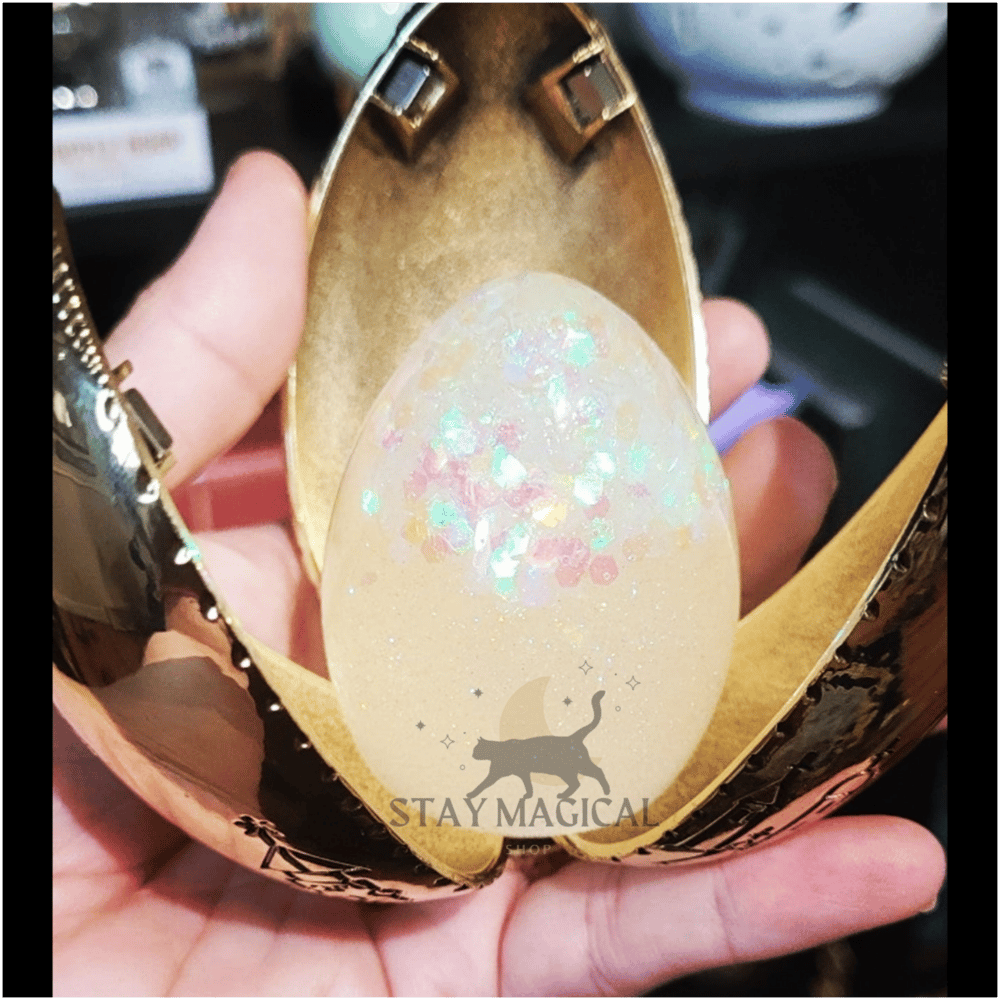 Image of Harry Potter Inside of the Golden Egg Inspired