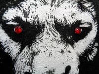 Image 4 of Lion Head T shirt
