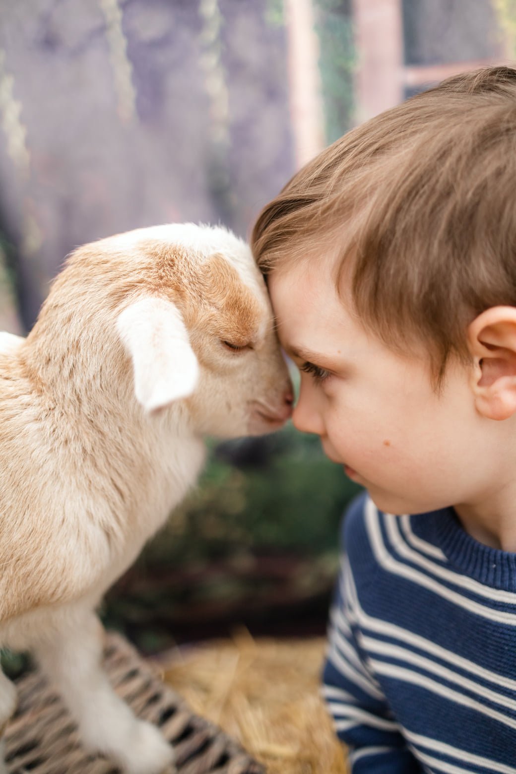 Image of Easter Minis with Baby Goats!!! - Deposit