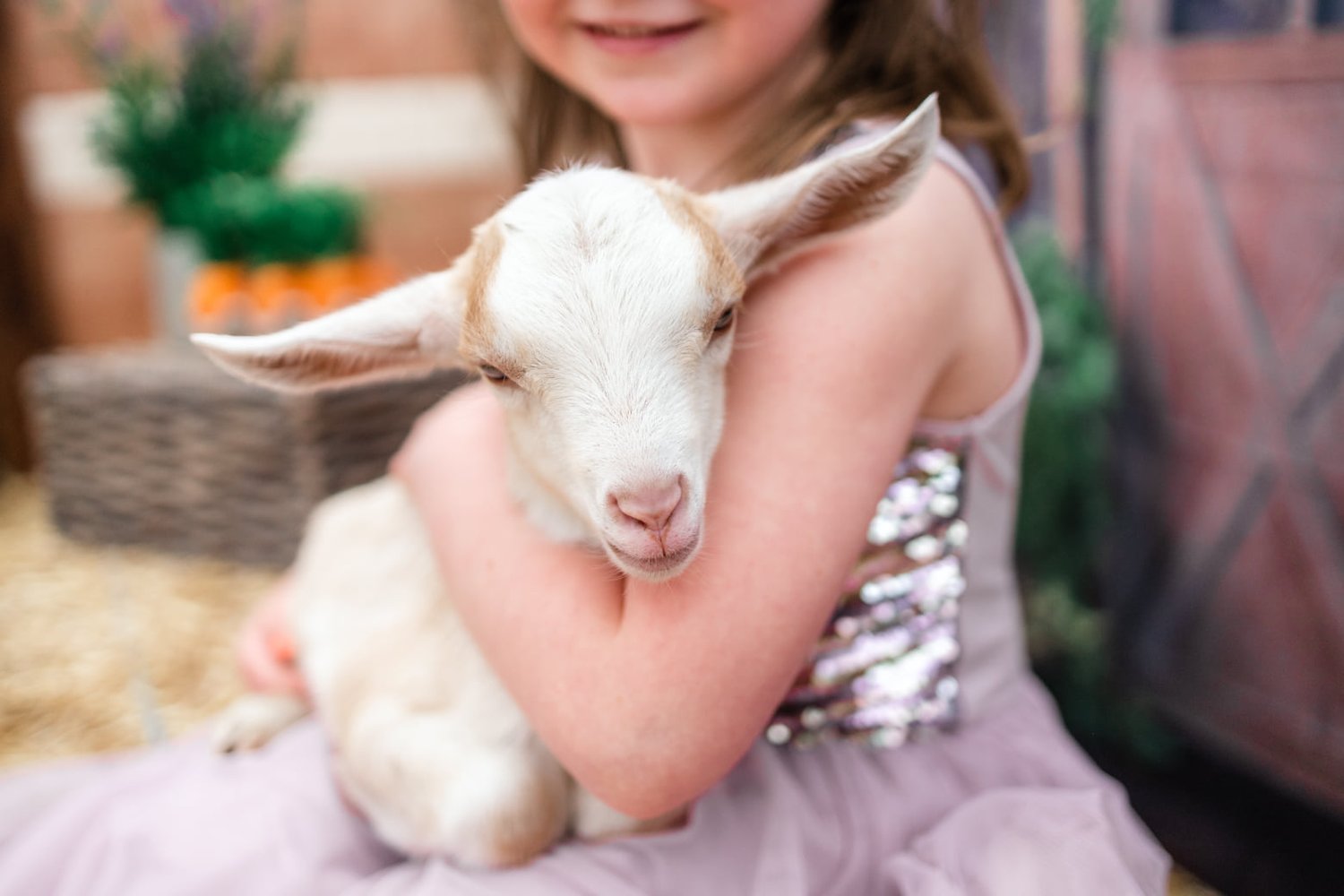Image of Easter Minis with Baby Goats!!! - Deposit