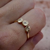 Image 3 of Starlight 